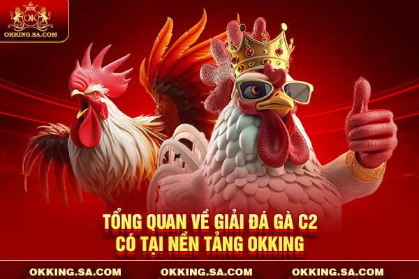 Tổng quan về giải đá gà C2 có tại nền tảng OKKING